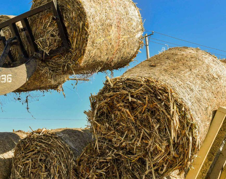 ack之之纸巾、湿巾等一次性用纸市场J9国际网站埃及包装展Print2P(图7)