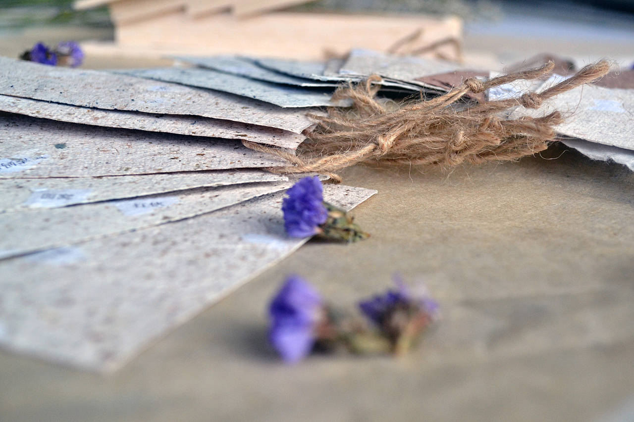 ack之之纸巾、湿巾等一次性用纸市场J9国际网站埃及包装展Print2P(图12)